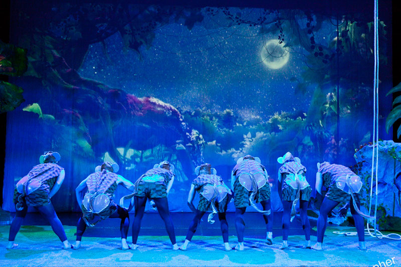 %_tempFileNameil%20libro%20della%20giungla%20feb%202017_fabio%20gatto%20(60)%20%5B800x600%5D%